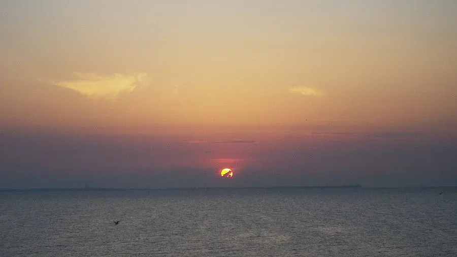 Добрич посрещна Джулай морнинг