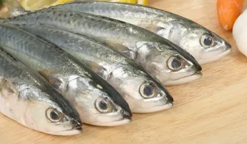 Сафридът поскъпна 3 пъти от мрежите до кръчмите