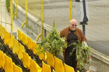 Сеч на храсти и "лалета" на "Герена"