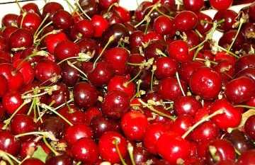 Какви са чудотворните свойства на този плод