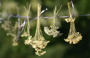 Омагьосай го с омайниче, за да те обича до гроб