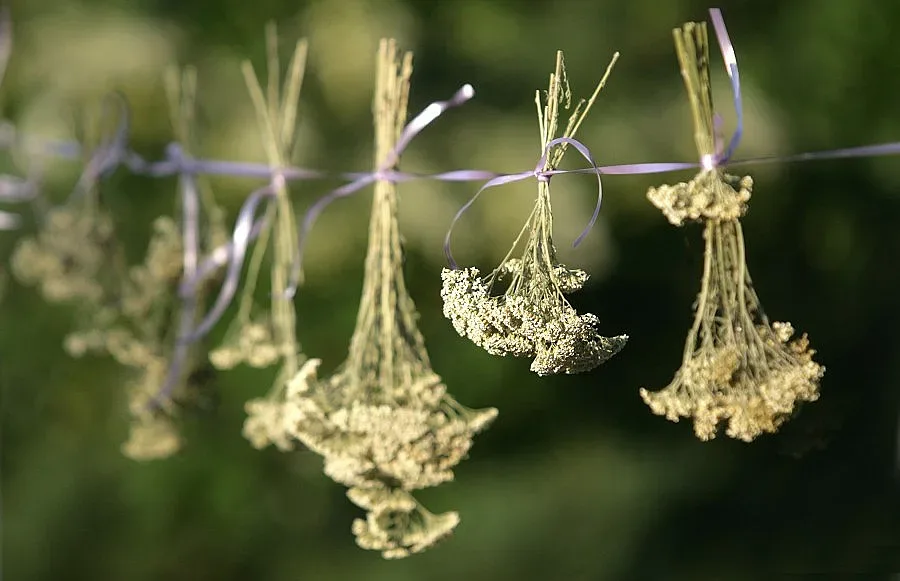 Омагьосай го с омайниче, за да те обича до гроб