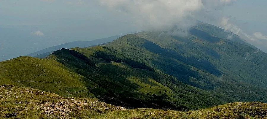 Спряха сеч на кестени в Беласица