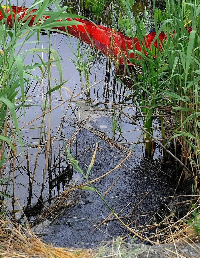 Открити са мъртви животни в близост до разлива на бензин