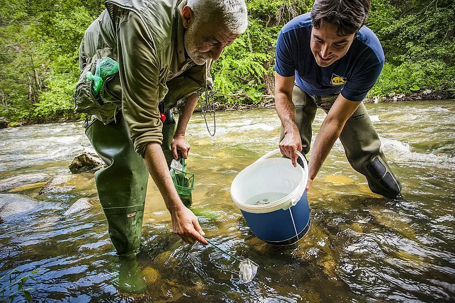 Пускат 100 000 Балканки в българските реки