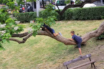 Дъжд и гръмотевици на места в събота 