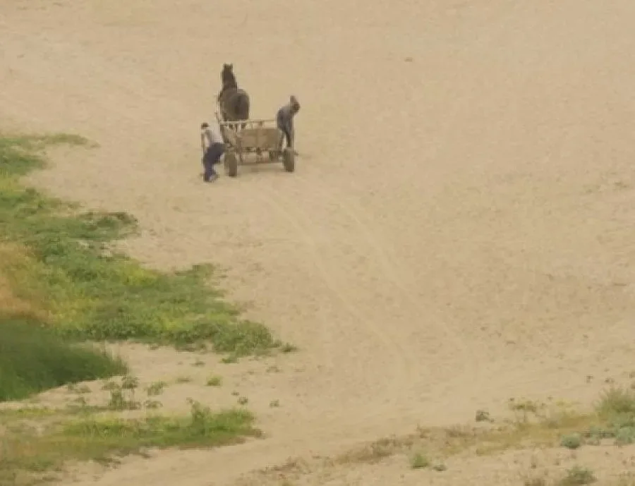 ЕС дава 90 млн. евро за ромите