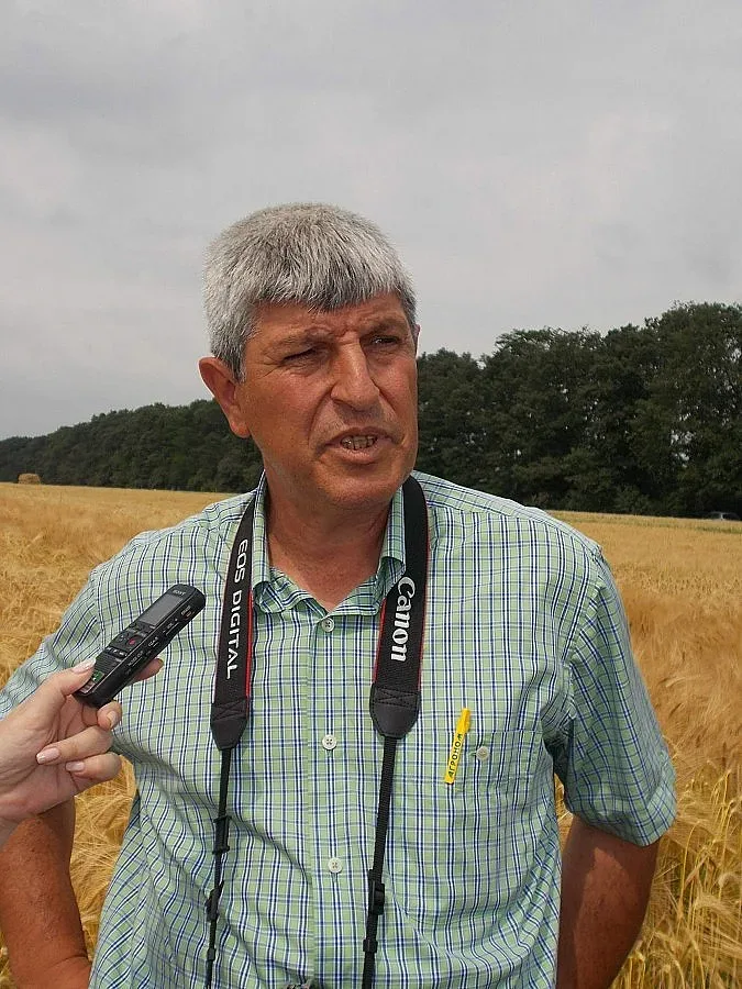 Специалист: По-висока цена на зърното тази година