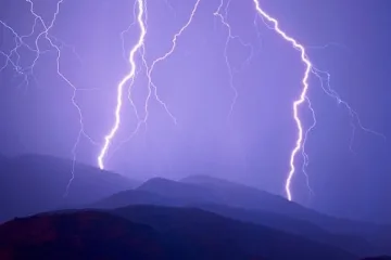 Гръм уби ветеринар под дърво