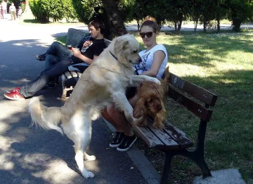 Жегата остава и в понеделник