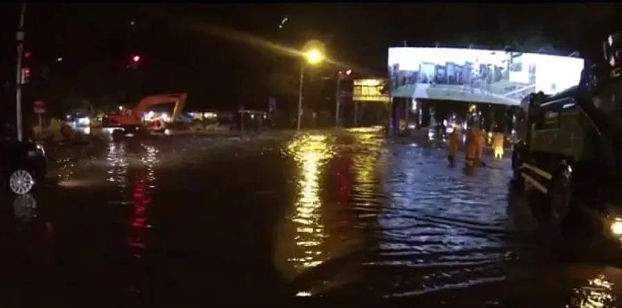 Жертви и хищници на свобода след потоп в Тбилиси (ВИДЕО)