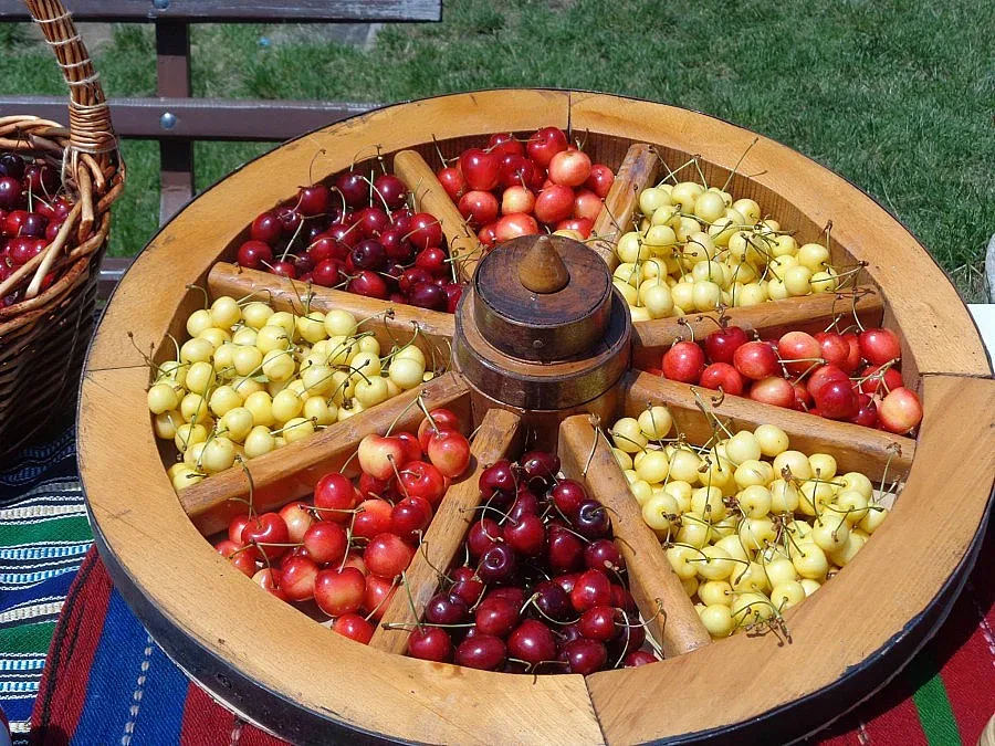 Празник на черешата ще се проведе в село Кирилово