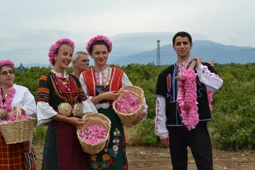 Розовото масло по 6500 евро за кг