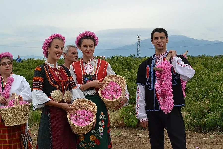 Розовото масло по 6500 евро за кг