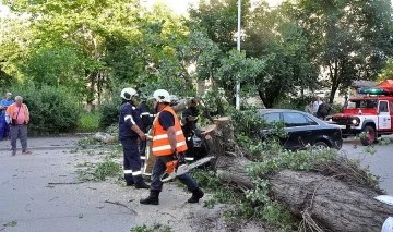 Мълния подпали две къщи, вятър събори 12 дървета
