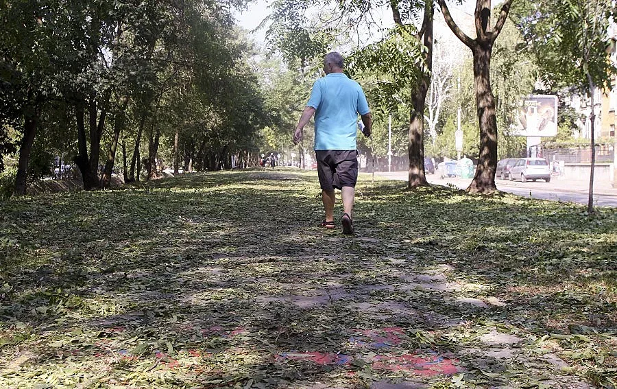 Сигнали за паднали дървета и клони след дъжда снощи