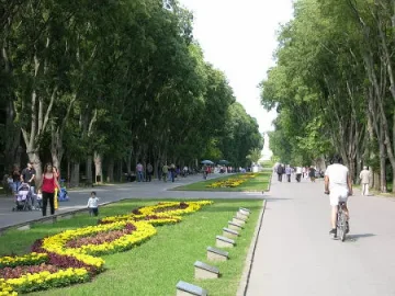 С икономични лампи осветяват Морската градина във Варна