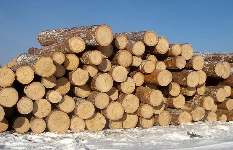 Мораториумът за износ на дървесина остава