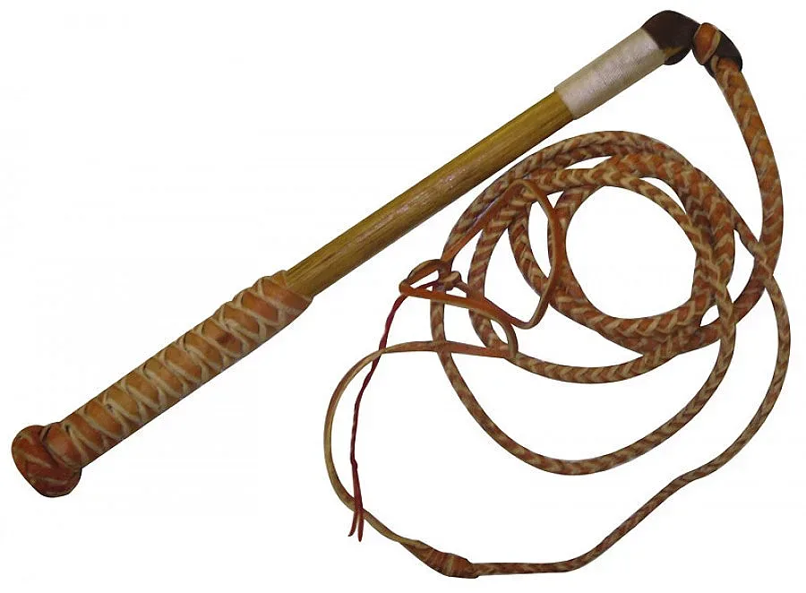 Рияд осъди блогър на 1000 удара с камшик