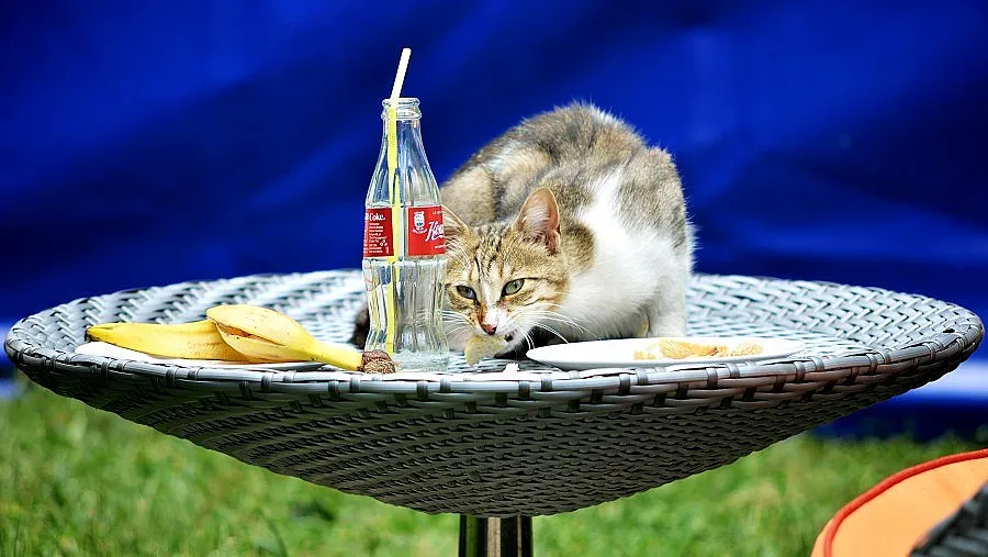 Ясна нощ и превалявания в понеделник 