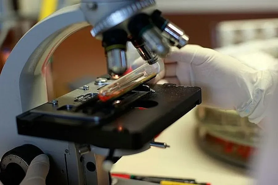 Пета жертва и общо 64 заразени с БИРС в Южна Корея