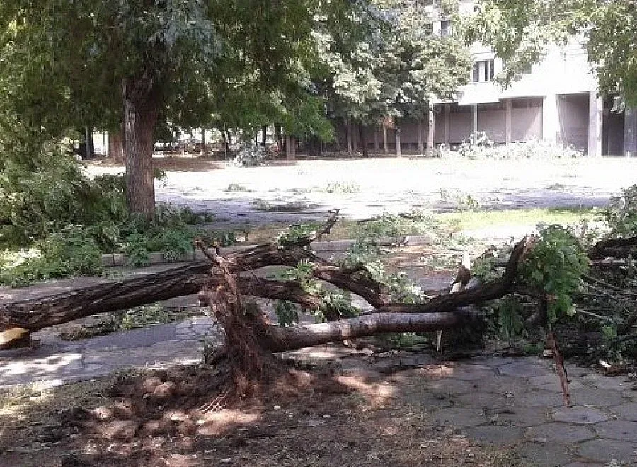 Бури, градушки и паднали дървета в страната