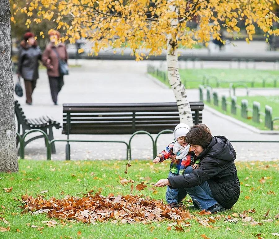 Шест села чакат "внучета назаем"