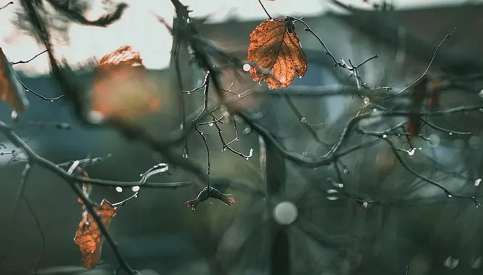 Лошото време се завръща. Вижте къде ще е най-лошо