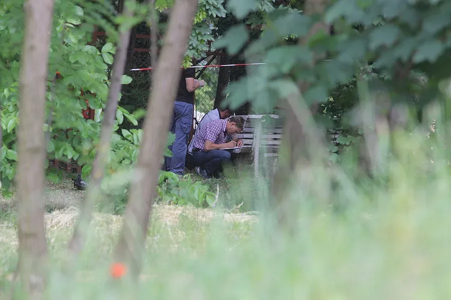 Версия: Георги чакал Лора във фаталния час