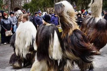 Вкарват кукерите в музей