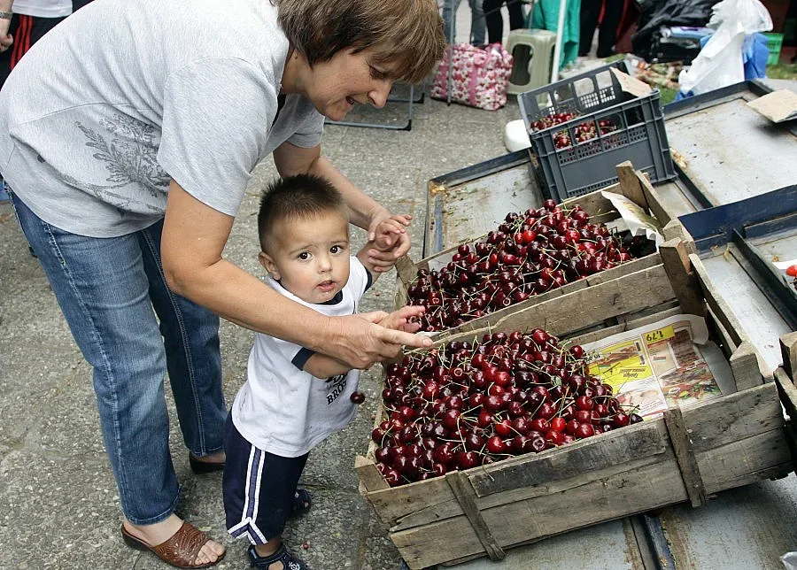 Черешите поскъпват пет пъти от градината до магазина