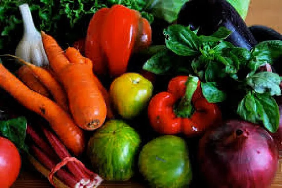 Откриха фабрика за обработка на зеленчуци в Радомирско