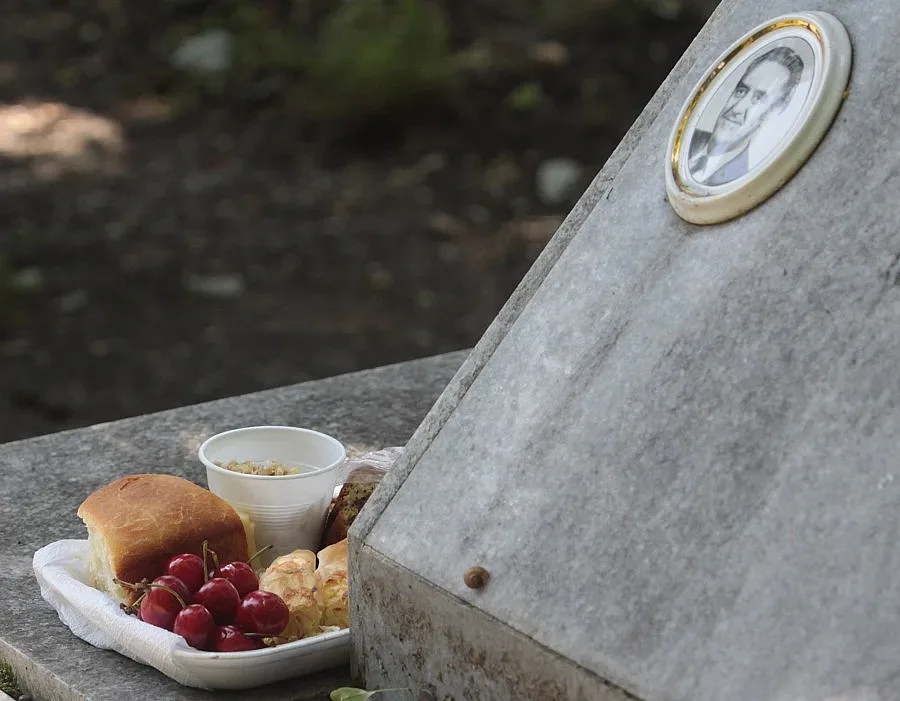 Черешова задушница е 