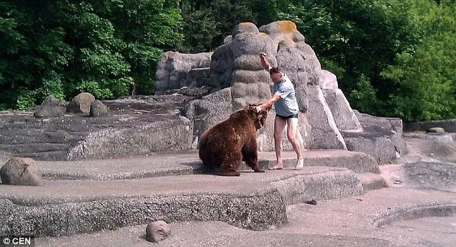 Пиян влезе при мечка, удари я и избяга (СНИМКИ)