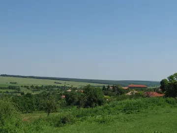 Съпрузи се бесиха, спасиха жената