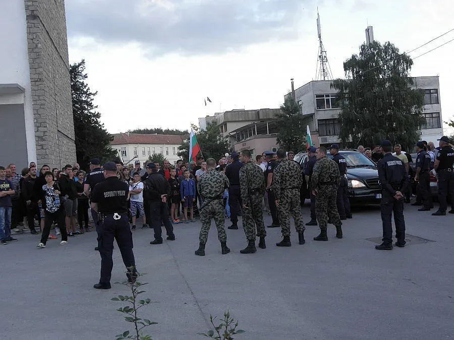 Ромите от Гърмен хванаха гората (ОБЗОР)