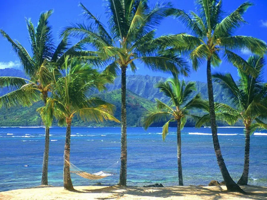 Властта отчита екскурзии над 5 бона