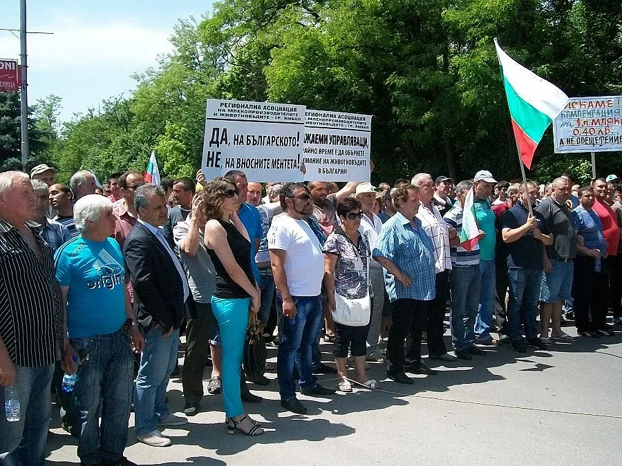 Фермерите на протест, след месец вадят животните на Дунав мост