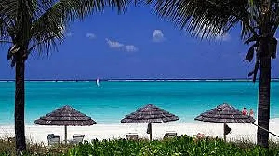 Българска фирма с финансов проект на Карибите