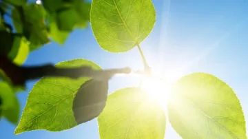 Времето ще бъде ясно и слънчево