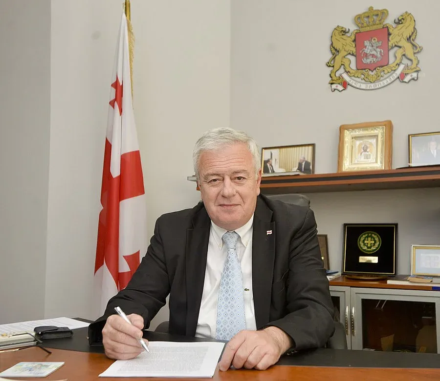 Визите спъват Грузия за Европа