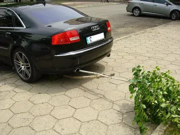 Нагъл шофьор паркира върху бреза (СНИМКИ)