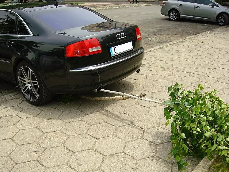 Нагъл шофьор паркира върху бреза (СНИМКИ)