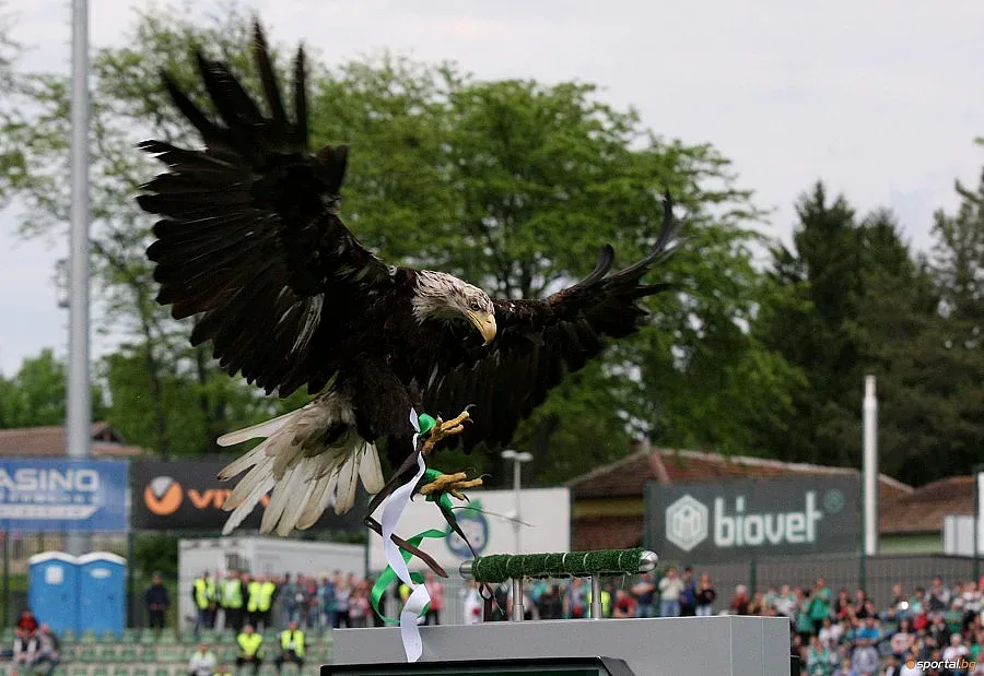 Крисия и Десислава взривиха Разград