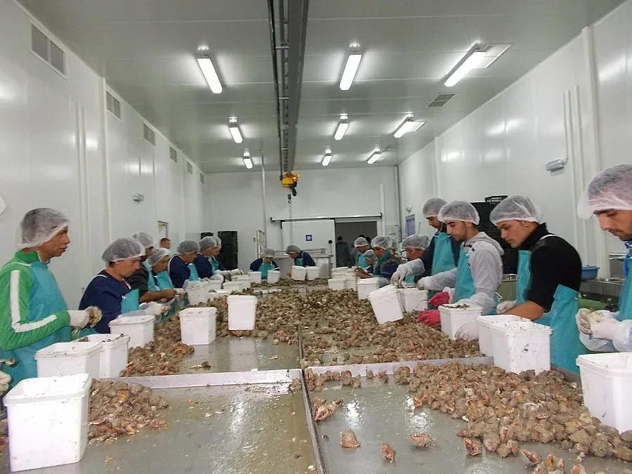 Министър Танева откри фабрика в Каварна