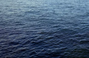 Изчезна български моряк във водите до Северозападна Франция 