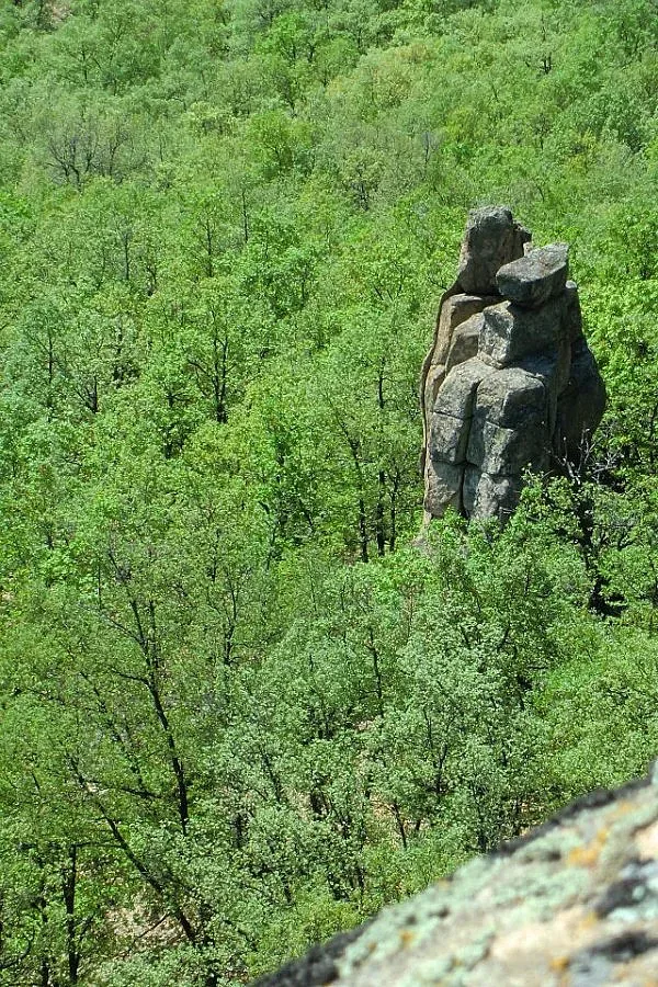 Жители на две села и гости почетоха Кирил и Методий от камък