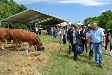 Приемат проекти за нови машини