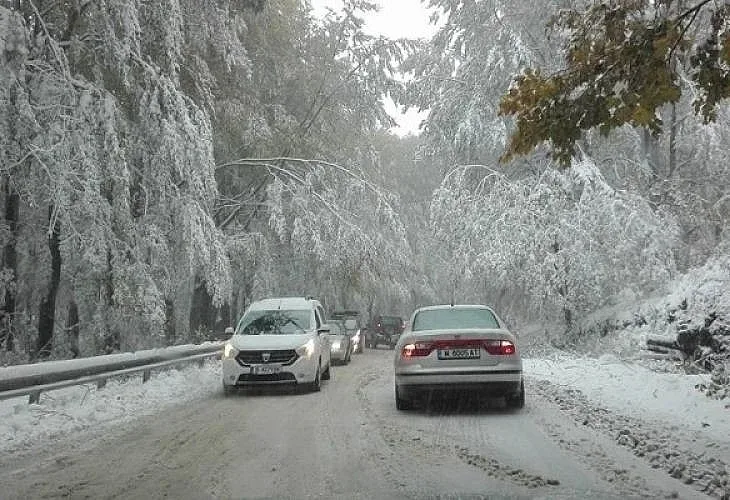 Адът на Петрохан. Известна личност побесня и нападна шофьорите