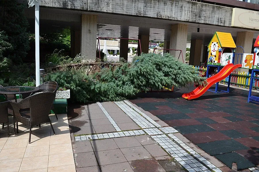 Огнеборци и общинари отстраниха паднали дървета и клони